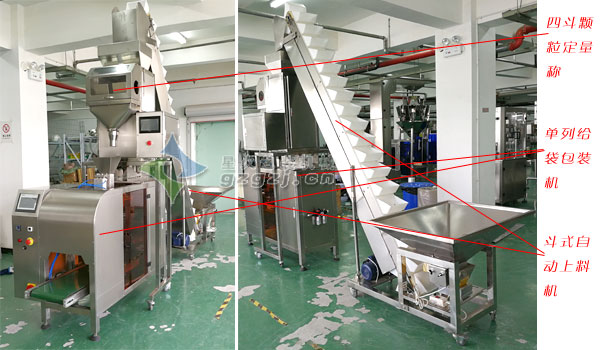 顆粒自動(dòng)包裝機(jī)